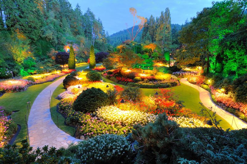 Landscape Lighting Service