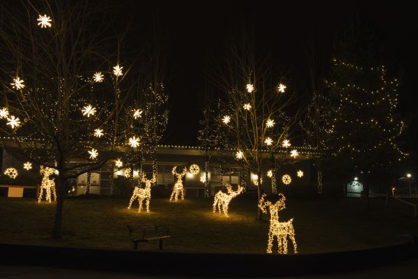 Outdoor Light Setup