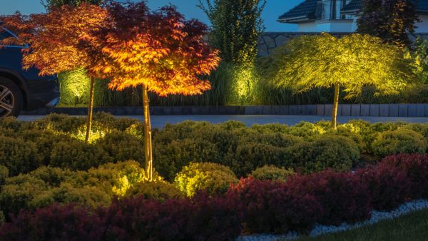 Illuminated Driveway Service